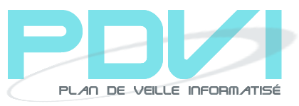 Logo PDVI